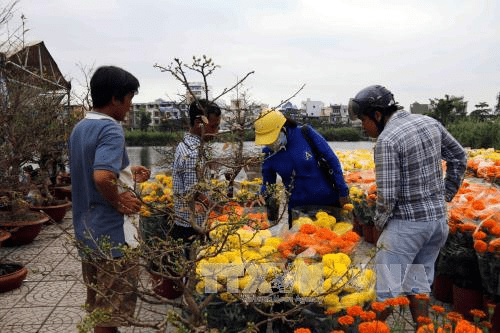 Cửa Hàng Hoa Kiểng Quỳnh Anh