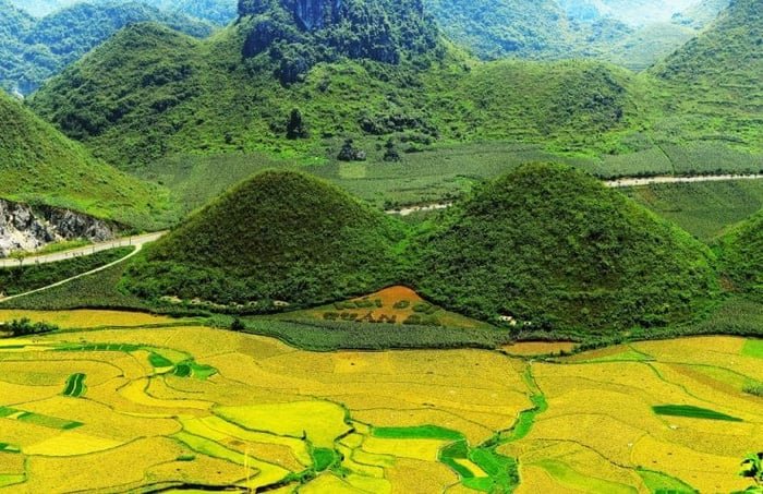 Công Ty Du Lịch Thiên Thành Ý