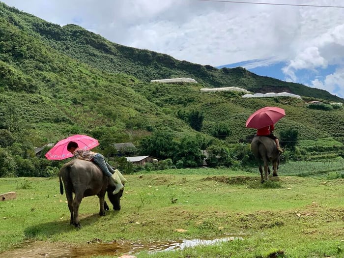 Khu du lịch sinh thái Sapa