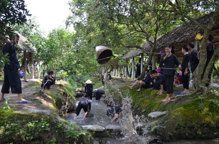 Công ty du lịch tại Tiền Giang