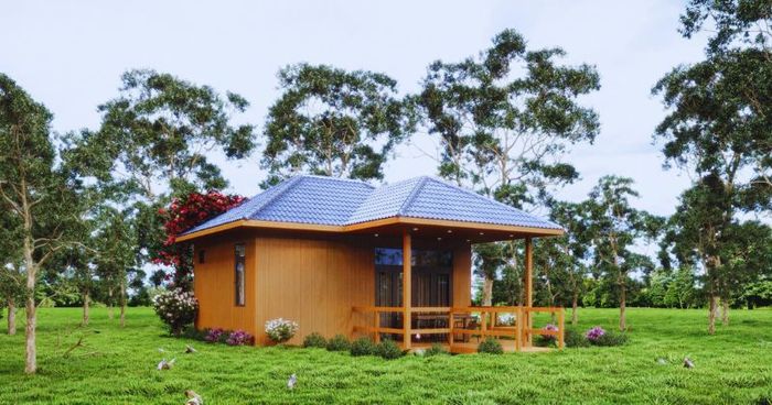 thiết kế sân vườn Bến Tre