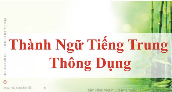 Thành ngữ trong tiếng Trung