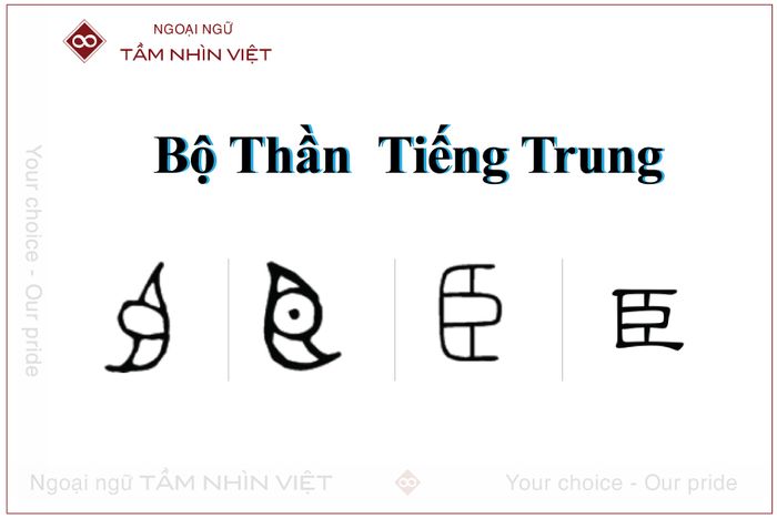 Bộ Thần trong 214 bộ thủ