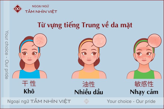 Các loại da bằng tiếng Trung