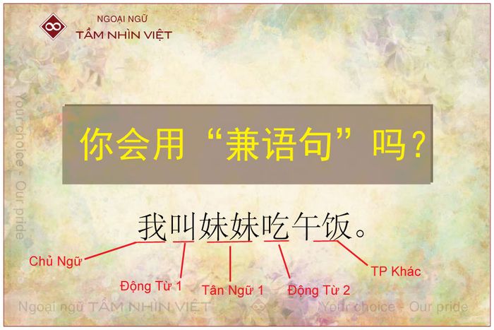 Câu kiêm ngữ