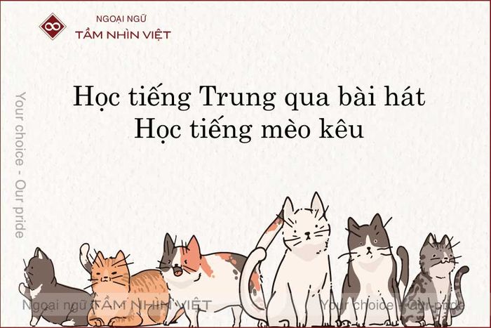 Học tiếng mèo kêu bằng tiếng Trung - Phiên âm - Lời Việt