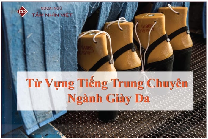 Từ vựng tiếng Trung chuyên ngành giày da