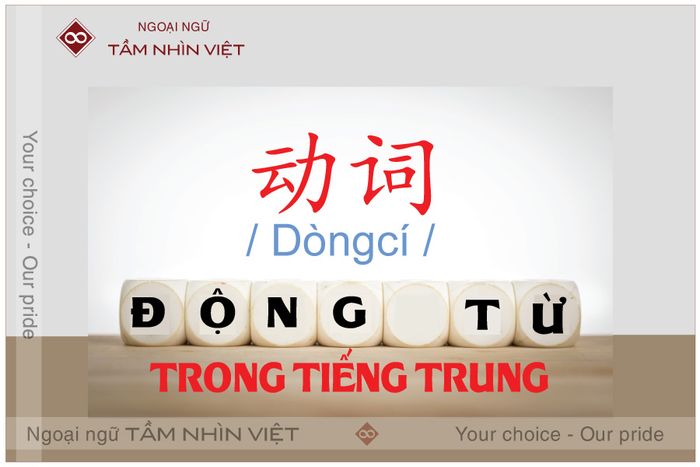 Cấu trúc động từ trong tiếng Trung