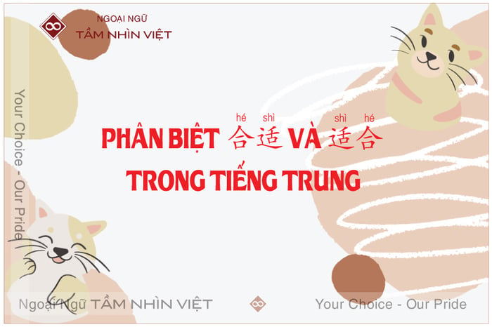 Phân biệt 适合 và 合适