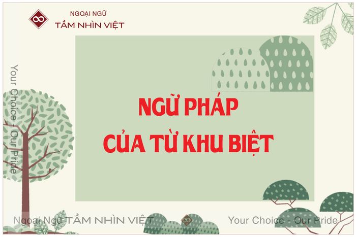 Ngữ pháp của các từ loại khác biệt là 区别词 [Qūbié cí]