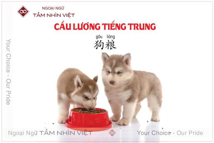 Cẩu lương trong tiếng Hoa