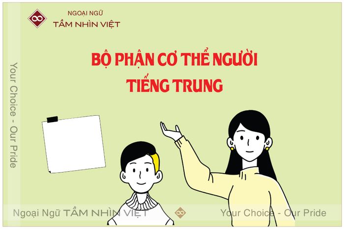 Các bộ phận trên cơ thể người trong tiếng Trung