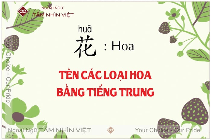 Danh sách các loài hoa theo tiếng Trung