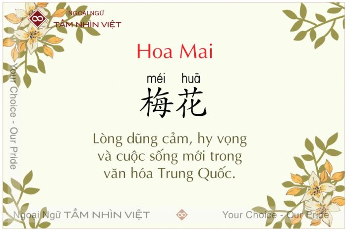 Ý nghĩa của các loài hoa theo Hán Việt