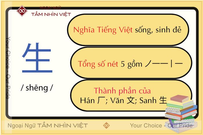 Bộ sinh trong tiếng Trung hiện nay