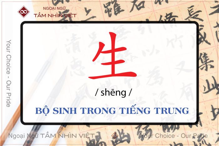 bộ thủ 100: nhóm từ sinh