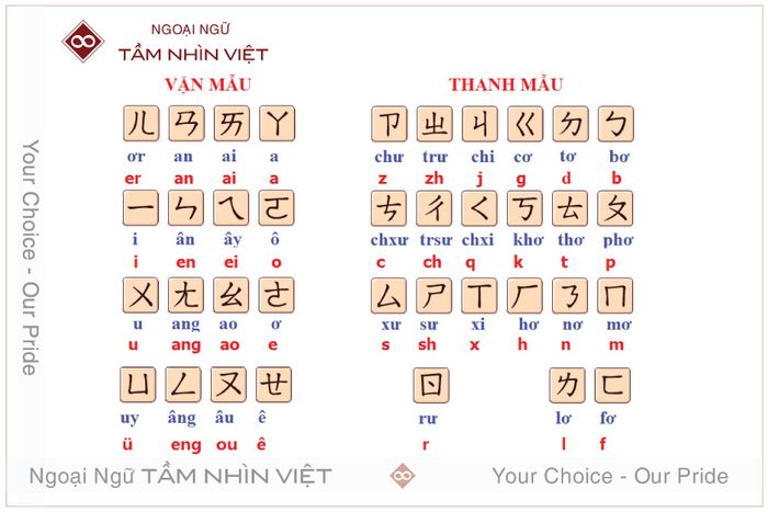 Phân biệt giữa vật mẫu và thanh mẫu