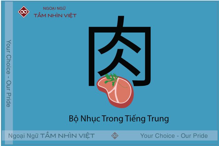 thủ 肉 trong tiếng Trung