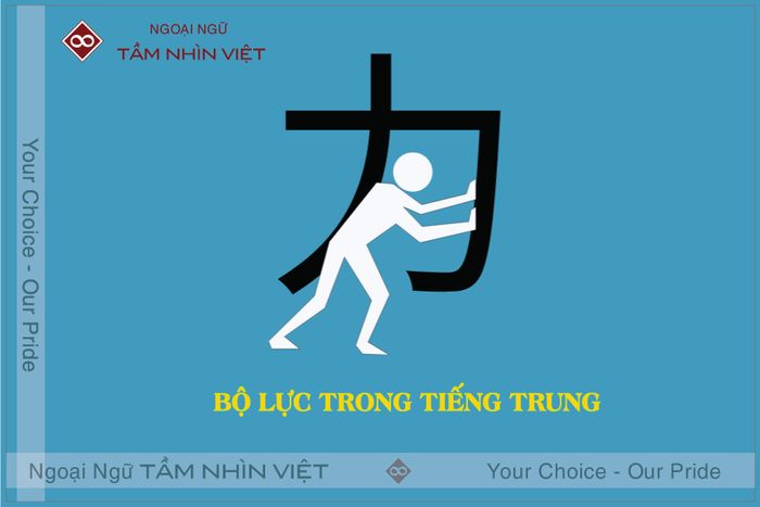 Học về bộ sức trong tiếng Trung