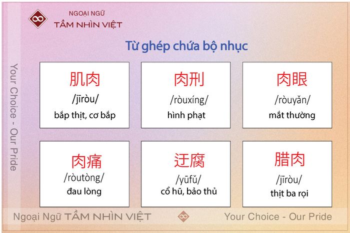 Từ ghép liên quan đến bộ nhục 