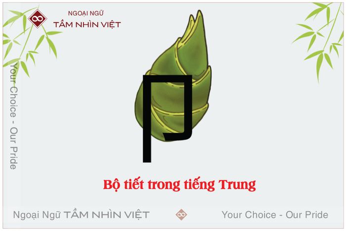 bộ thủ tiết