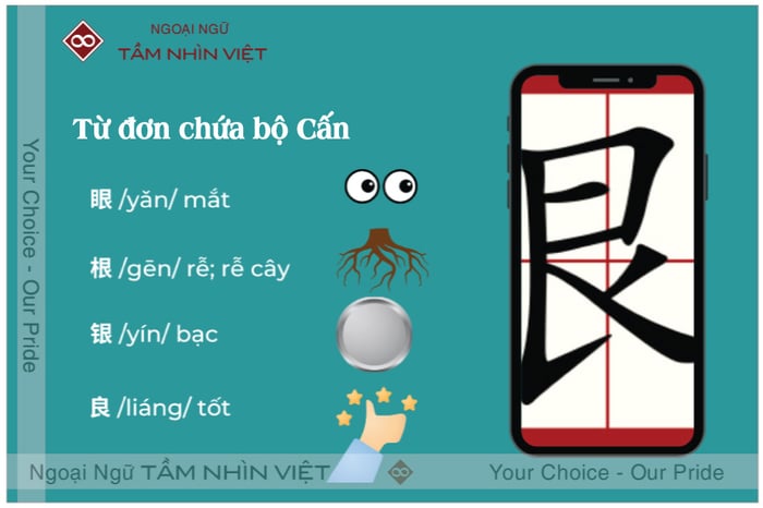 Từ đơn có chứa bộ thủ cấn