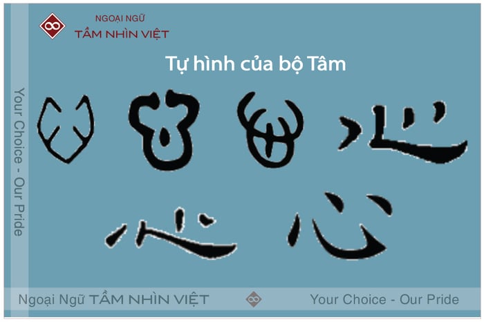 Tự hình bộ tâm 