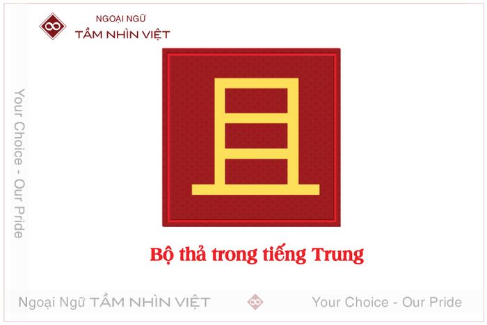 Bộ thả tiếng Trung là gì? 