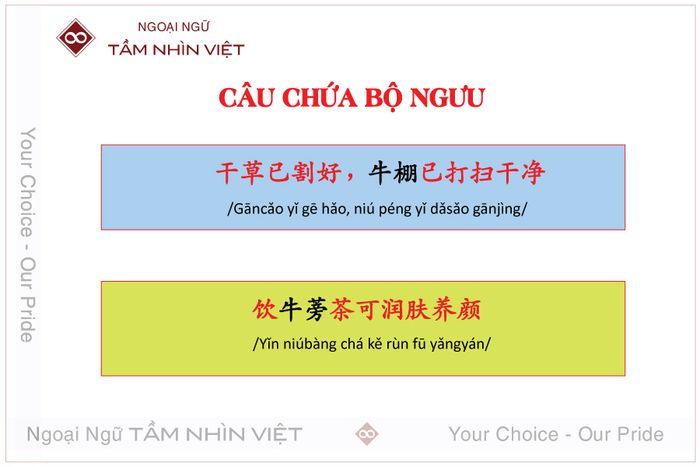 Phương pháp học bộ thủ qua ví dụ câu