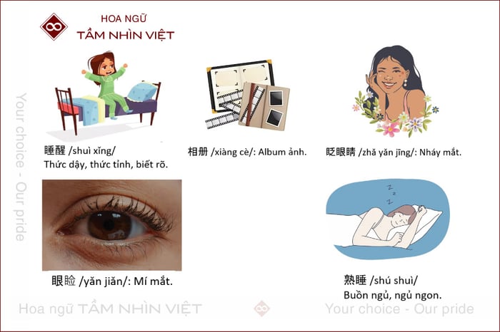 Bộ Mục