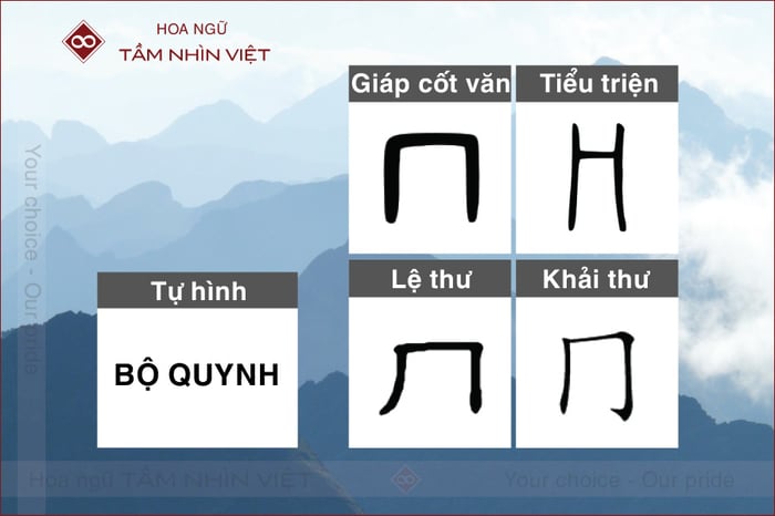 4 hình dạng của bộ Quynh.