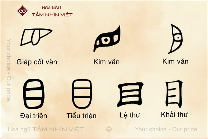 Bộ Mục