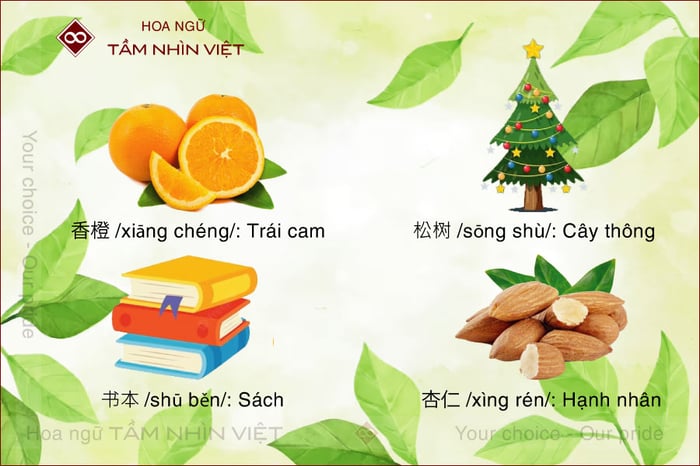 Các ký tự tiếng Trung có bộ Mộc