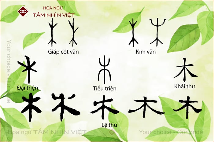 Tự hình đầy đủ của bộ Gỗ tiếng Trung