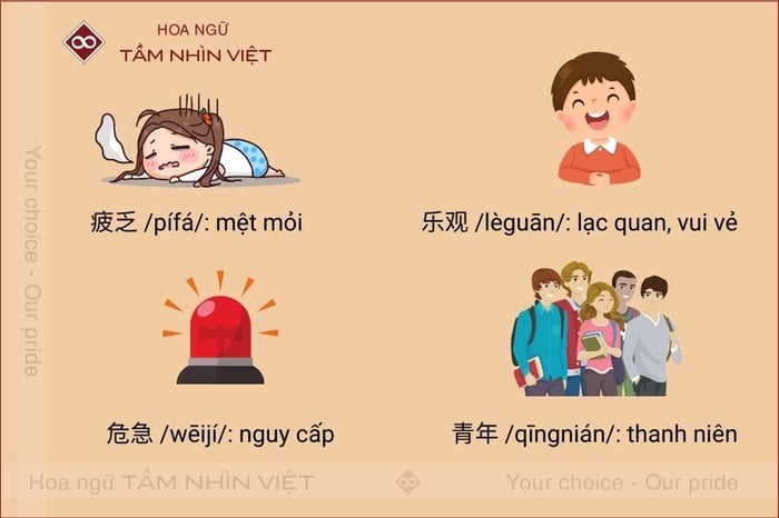 Từ vựng chứa bộ Phiệt