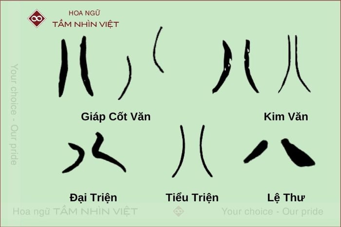 Tự hình của bộ Bát