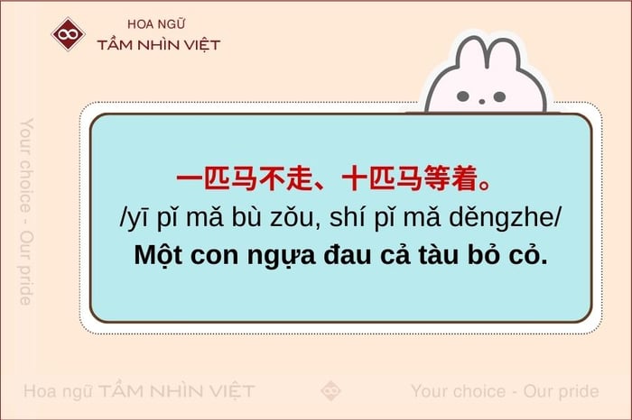 Câu có hệ thống bộ