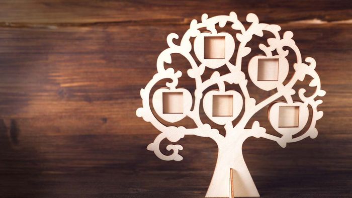 GEDMatch, once a niche genetic genealogy site, is now under the ownership of a forensic genomics firm, Verogen. While the company has changed hands, its privacy policy remains the same.