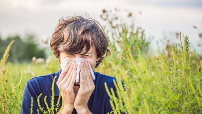 This marks 'Peak Week' for Asthma