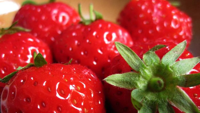 Is It True That Small Bugs Live in Your Strawberries?