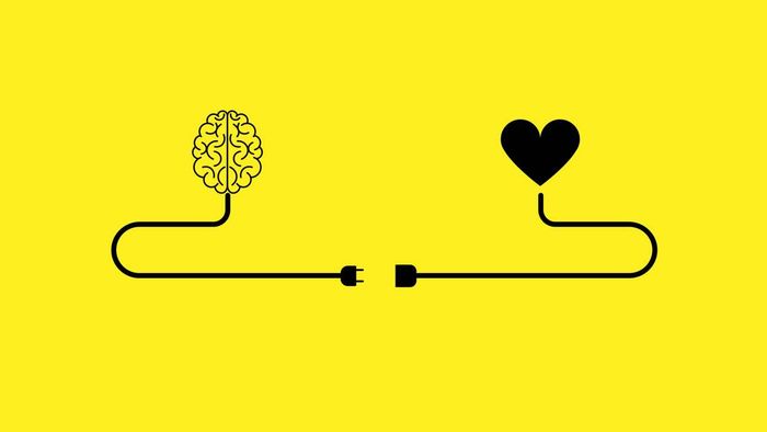 Emotional Intelligence: The Social Skills You Never Learned in School