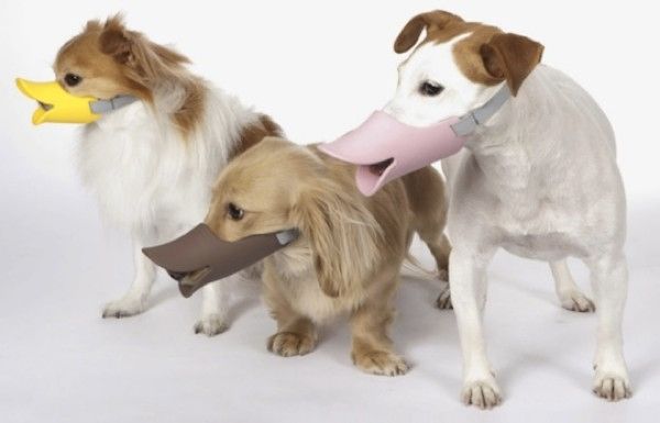 Duckbill Dog Muzzle