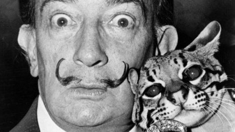 dali ocelot library congress