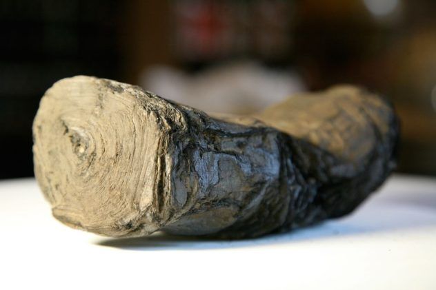 herculaneum-roman-scroll