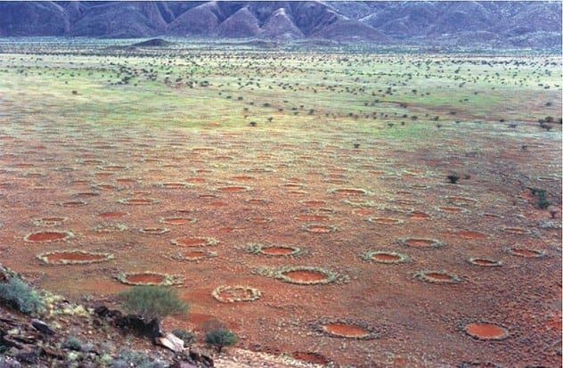 8-fairy-circles