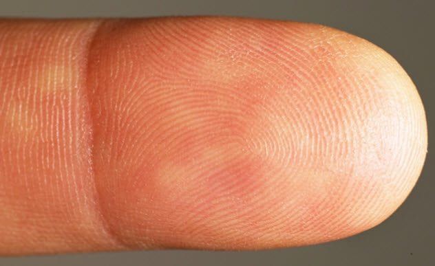 1a-fingerprint-495205664
