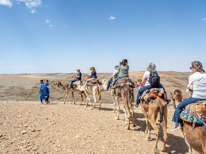 A family enjoying a camel tour in the desert