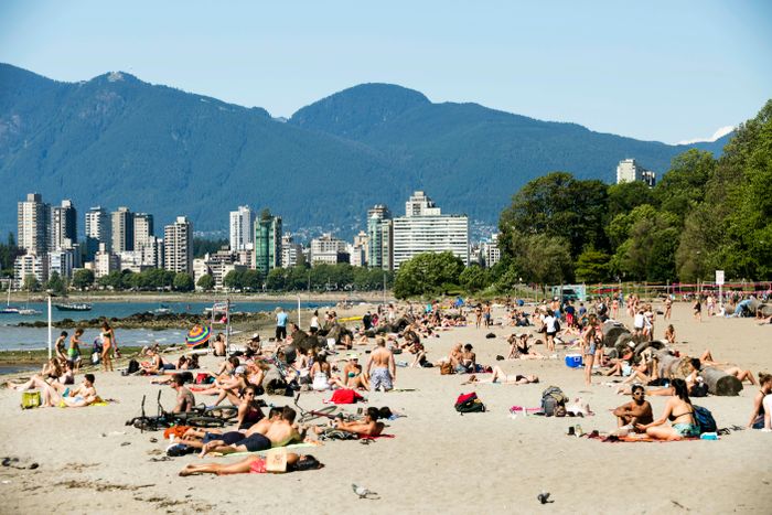 Groups of people sunbathe and chat on a beach near an urban area