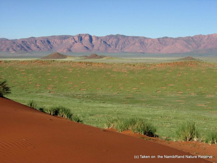 The NamibRand Nature Reserve offers a glimpse of giraffes, baboons, zebras, and more than 100 species of birds.