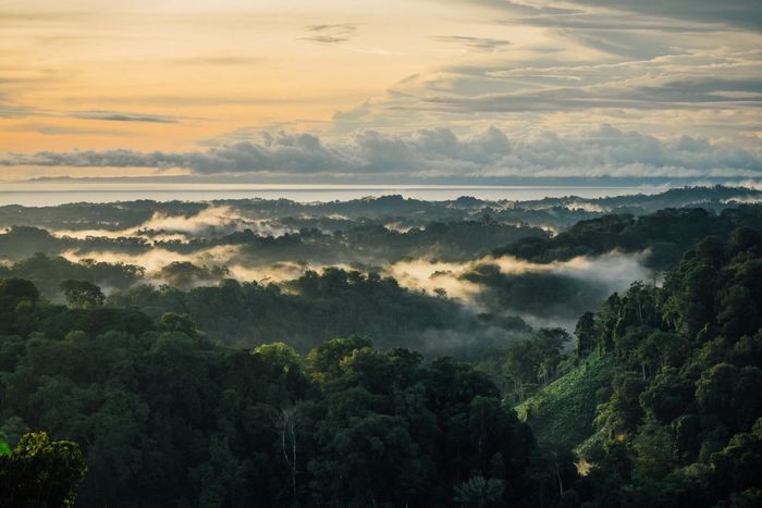 Costa Rica is home to some of the planet’s most biologically rich ecosystems.